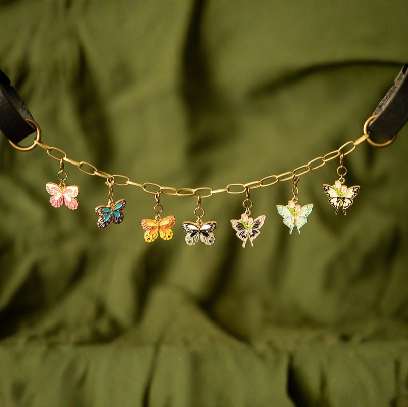 Butterflies & Moths