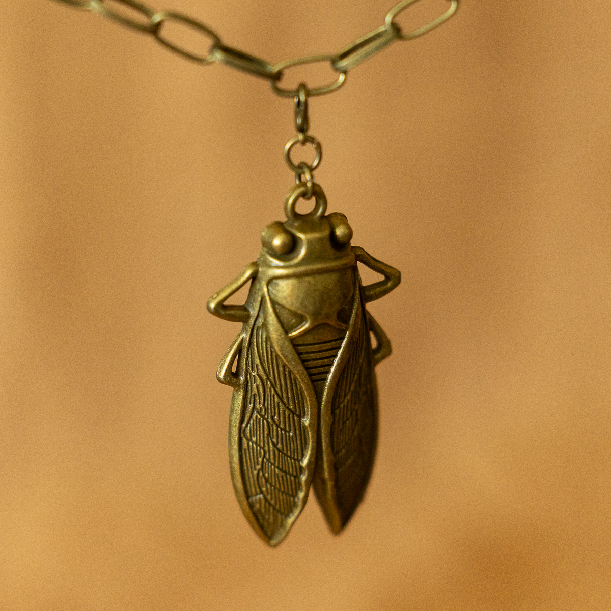 Bronze cicada